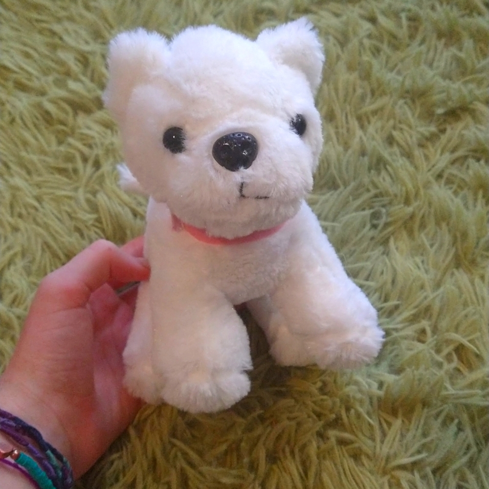 cute white stuffed dog